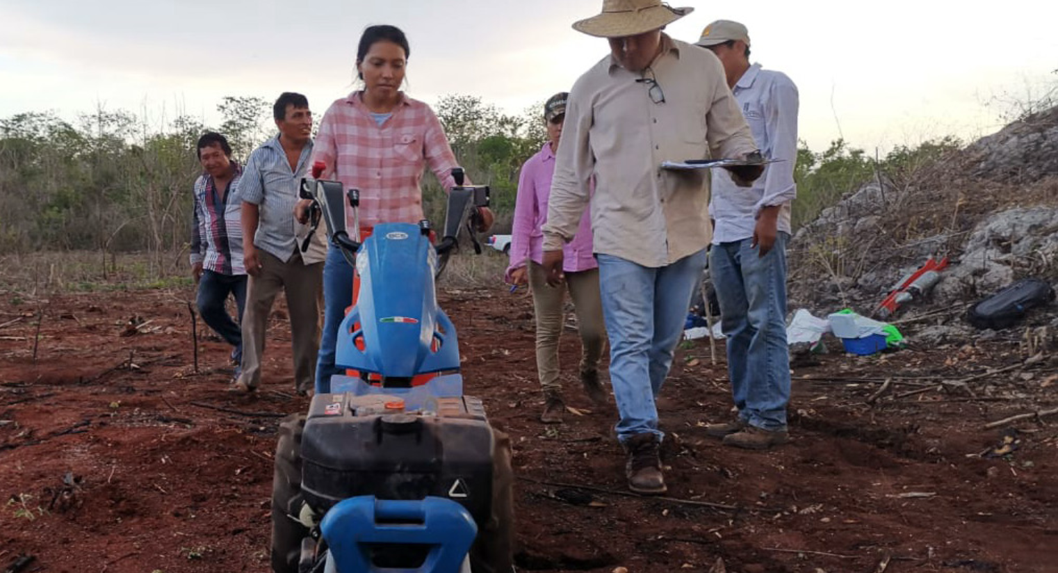 Evaluación agrotécnica en la Península de Yucatán. (Foto: Gabriel Martínez)